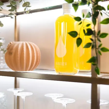 Casa Noronha Lima - Historic Hotel Alvarenga