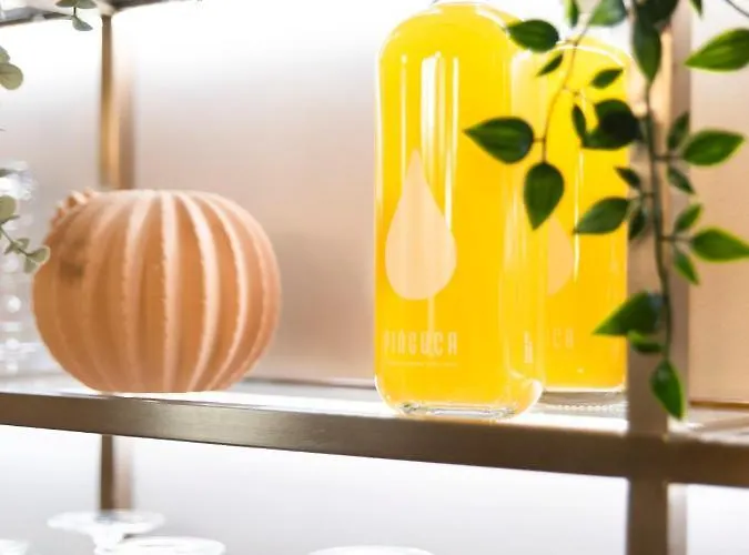 Casa Noronha Lima - Historic Hotel Alvarenga